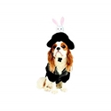 Hat Trick Magician Pet Costume Size X-Small 