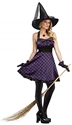 Whimsical Witch Polka Dot Adult Halloween Costume -Medium/Large 