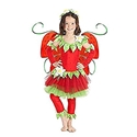 Princess Paradise Strawberry Fairy Costume (Wings Not included) - Toddler 18M-2T 