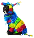 Rasta Imposta Pinata Dog Costume Large 