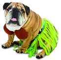 Rasta Imposta Funny Zelda Wisdom Hula Dog Pet Costume Halloween Bra Skirt Hawaii Hawaiian Small 