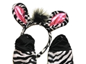 Seasons Zebra Costume Kit (Child) 