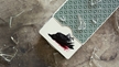 Green Madison Dealers Marked Playing Cards By Ellusionist - 