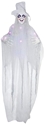 Sunstar Industries Battery Operated Hanging Light Up Eyes White Witch Purple LEDs Halloween Prop 
