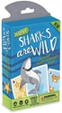 Hoyle Sharks are Wild Childrens Card Game Ages 4-6 