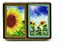 Congress Sunflower Playing Cards Standard Index 